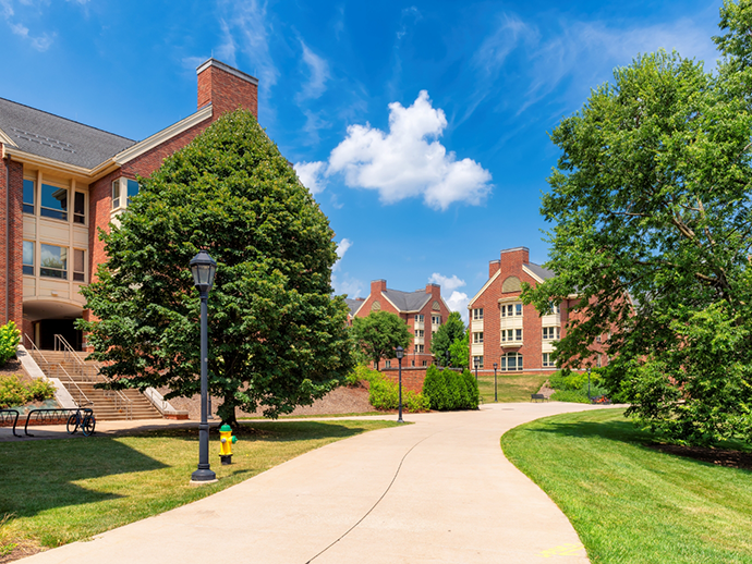 Winding sidewalk with green trees on either side on a university campus